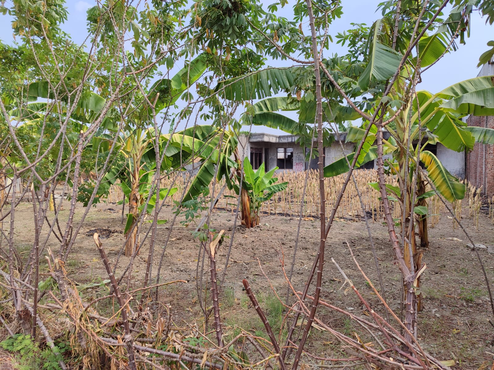 Jual Rumah Bagus properti DIJUAL CEPAT
Tanah Kavling Siap Bangun, Lokasi Strategis, Pinggir Jalan Raya, Bebas Banjir