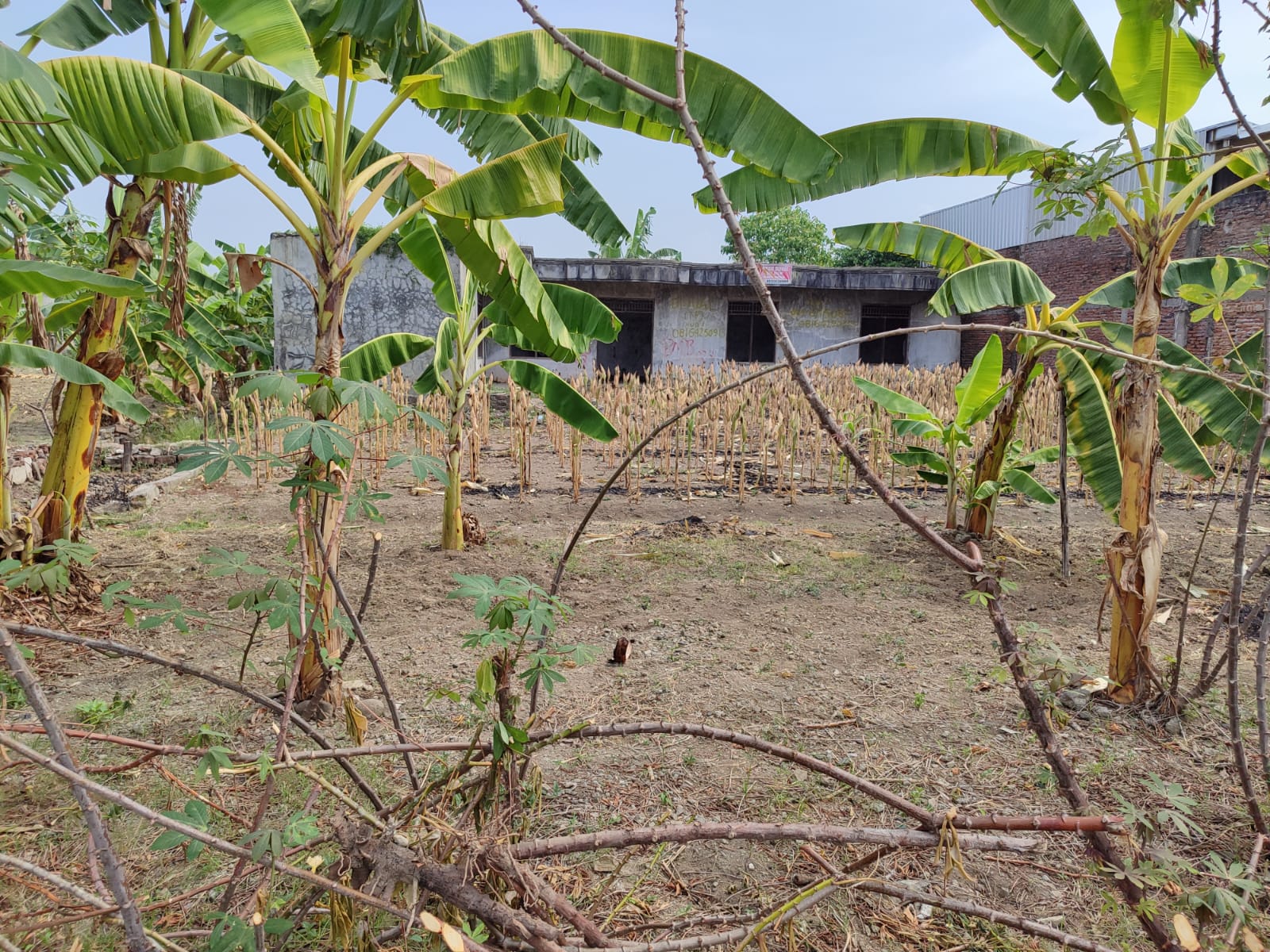 Jual Rumah Bagus Properti DIJUAL CEPAT
Tanah Kavling Siap Bangun, Lokasi Strategis, Pinggir Jalan Raya, Bebas Banjir